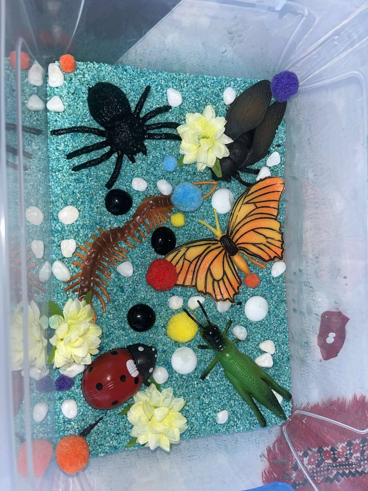 Сенсорна коробка: гра, що має сенс 3 624230780 921498810398938 5805486109787144245 n